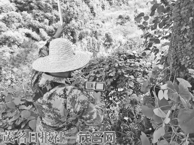 信宜洪冠钱排高速连接线动工