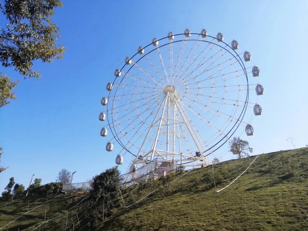 信宜市莲花湖庄园