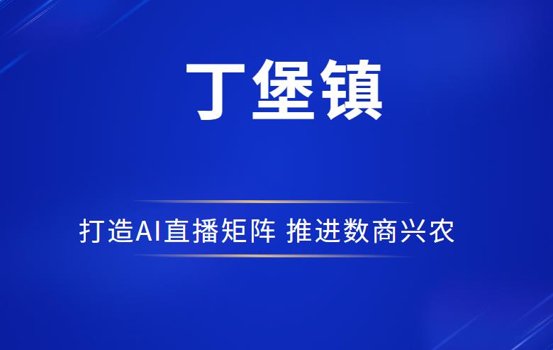 丁堡镇：打造AI直播矩阵 推进数商兴农