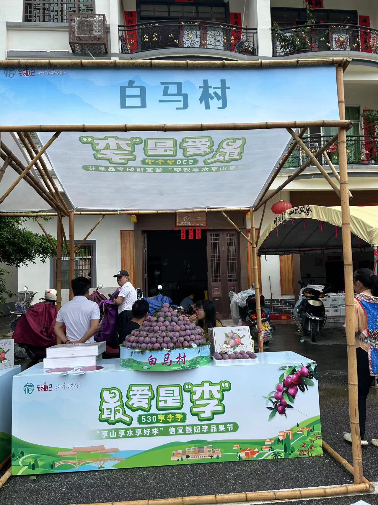 信宜网