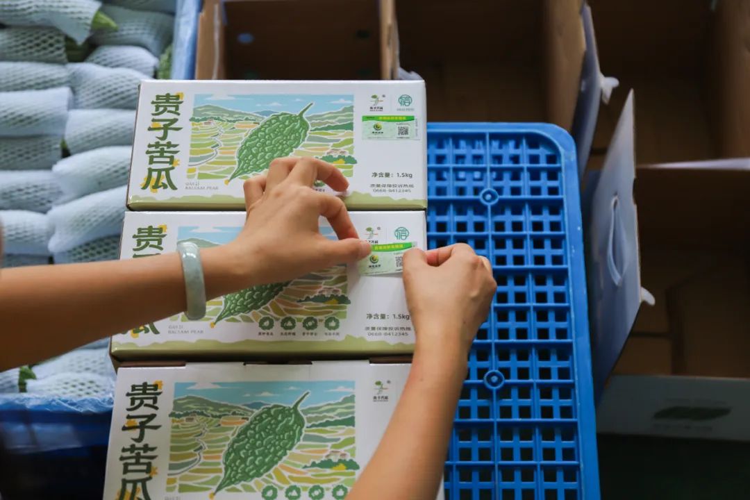 贵子原种精品苦瓜，已经新上了“信”字号包装，“信”字号成员+2！
