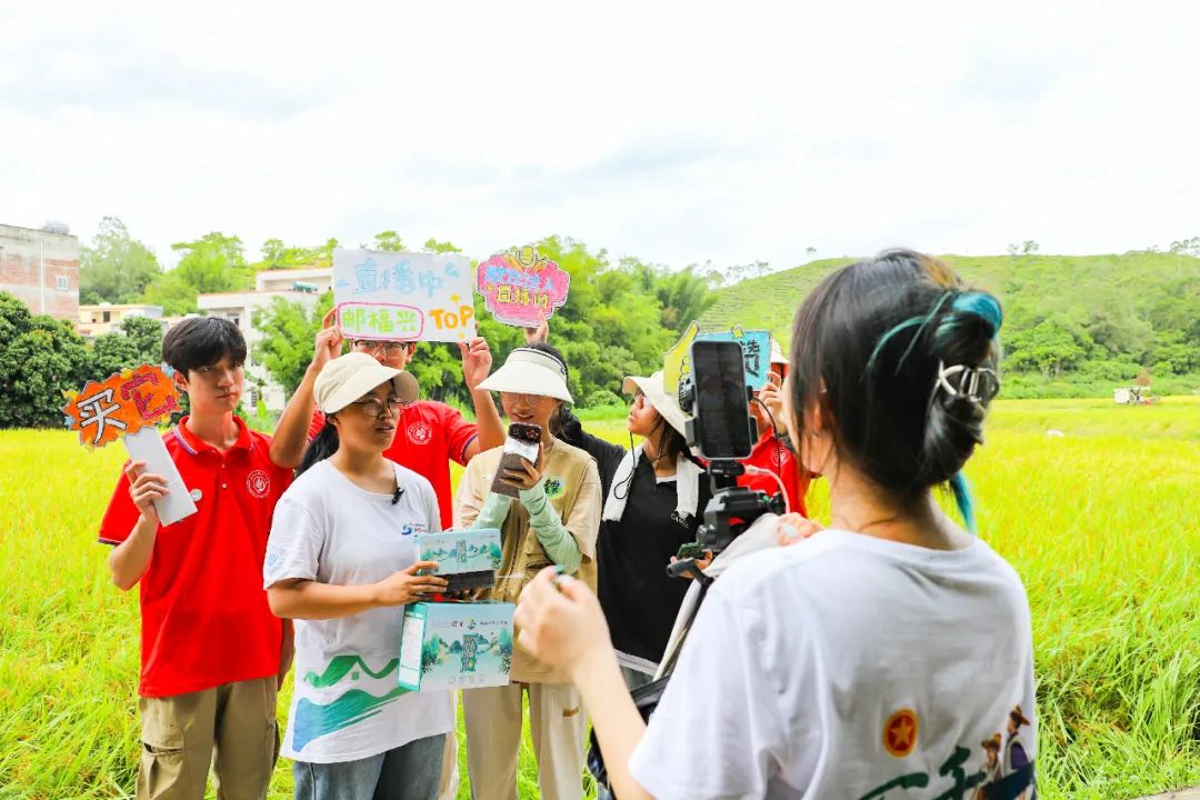 北界镇结坡村380亩优质红米黑米开镰收割